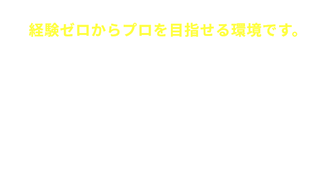 未経験スタート率
